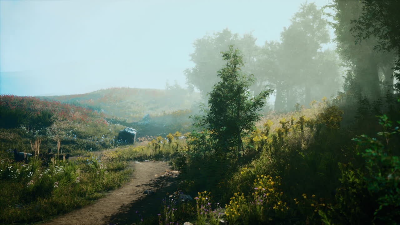 Serene walking path through lush greenery during early morning light