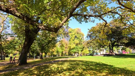 people enjoying a sunny day in the park