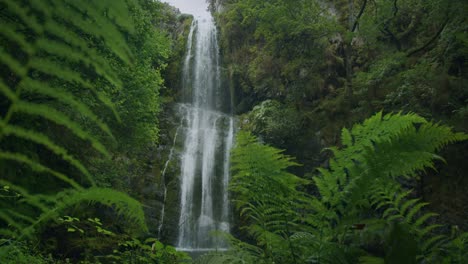 slow motion shot of a beautiful waterfall in the nature of asturias, spain - cascada del cioyo
