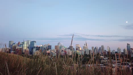 skyline with grass with moon in evening crab calgary alberta canada