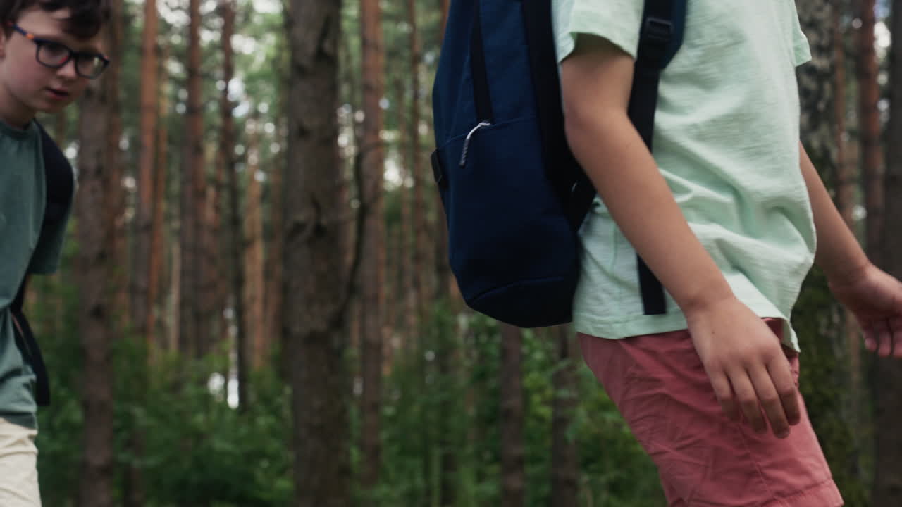 숲에 있는 아이들