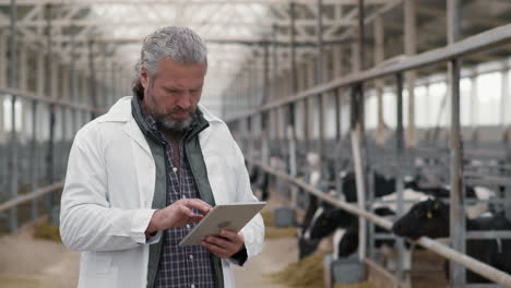 male cattle farm supervisor using tablet