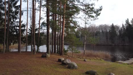 aerial drone view approaching a lake through the forest in autumn