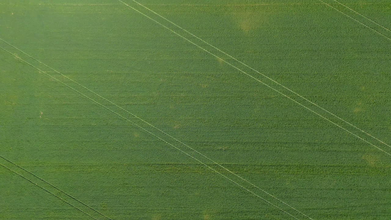 Aerial View of a Lush Green Agricultural Field
