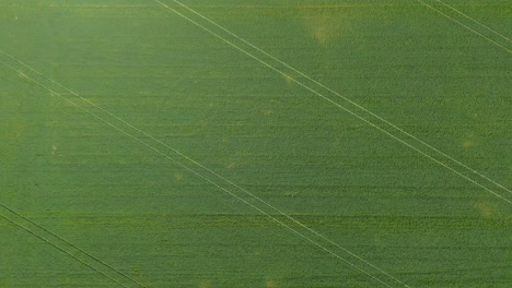 aerial view of a lush green agricultural field