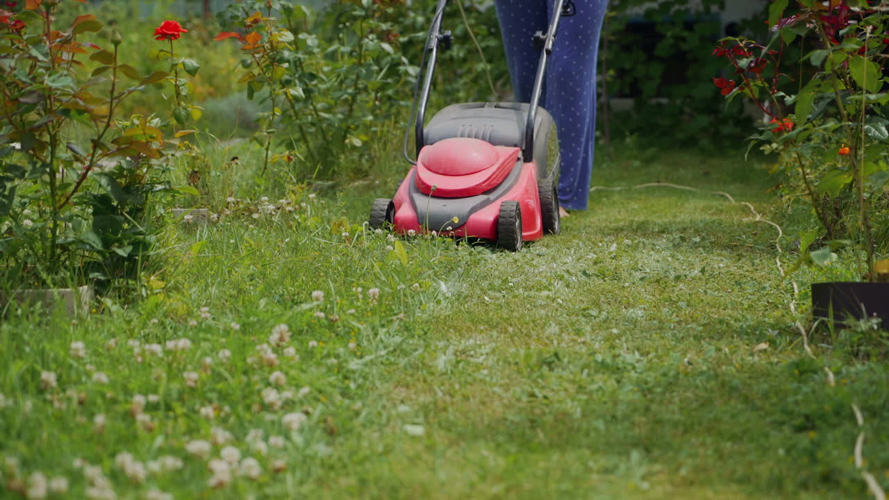 Mowing grass in the garden. Outdoor seasonal household works