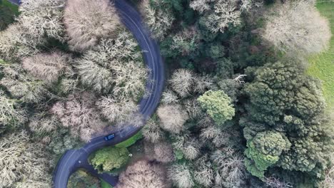 Guernsey-Vals-De-Terres-Ein-Flug-Auf-Der-Wunderschönen-Waldstraße-Von-St.-Peter-Port-In-Richtung-St.-Martins,-Berühmt-Für-Bergauffahrten-An-Hellen-Wintertagen-Nach-Der-Steilen,-Kurvenreichen-Straße