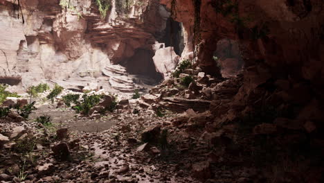 Impresionante-Cueva-Antigua-En-El-Bosque-Tropical