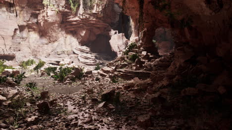 impresionante antigua cueva en el bosque tropical