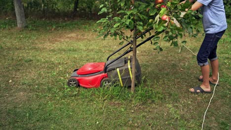 red lawn mower in the garden. boy is cutting grass by electrical mower machine outdoors.