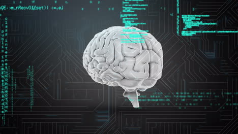 Animation of data processing and human brain over dark background