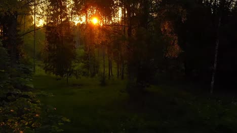Beautiful-Dreamy-Shot-of-Sun-Through-Forest-During-Sunset,-Exploring