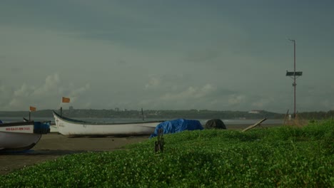 boats are resting near beach around green grass in a windy day