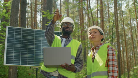 Hombre-Y-Mujer-Trabajando-Juntos-En-El-Bosque