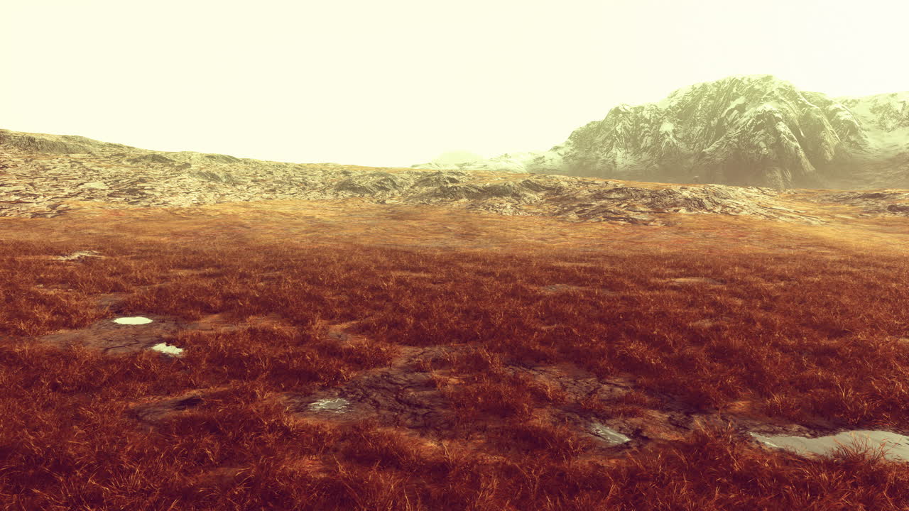 갈색 잔디와 웅이가 있는 겨울의 산악 풍경