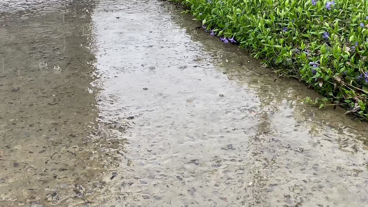 Spring rain. Close-up of a drop in a puddle on road. Season of heavy rains. Nature waters land for a good harvest. Natural irrigation. The plants sprout in the warm summer rain.