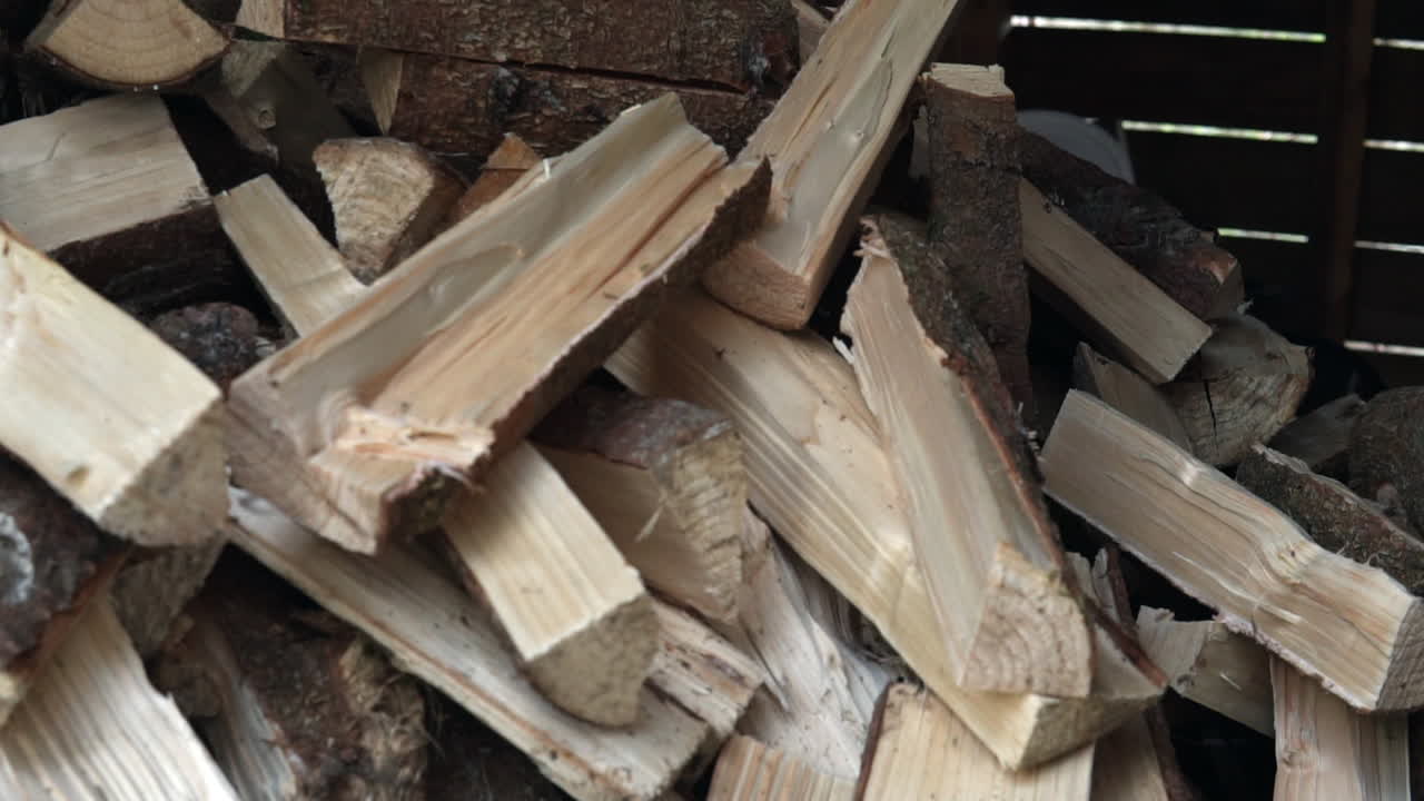 Throwing logs on a pile, stack of firewood. Swedish countryside