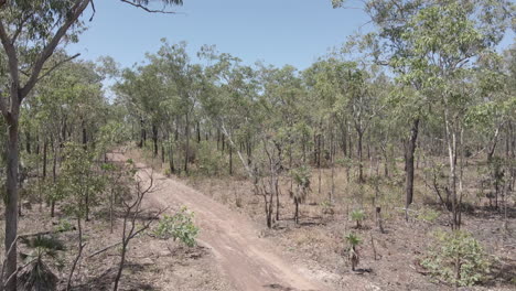 low drone shot of dirt road and trees in northern territory, australian outback