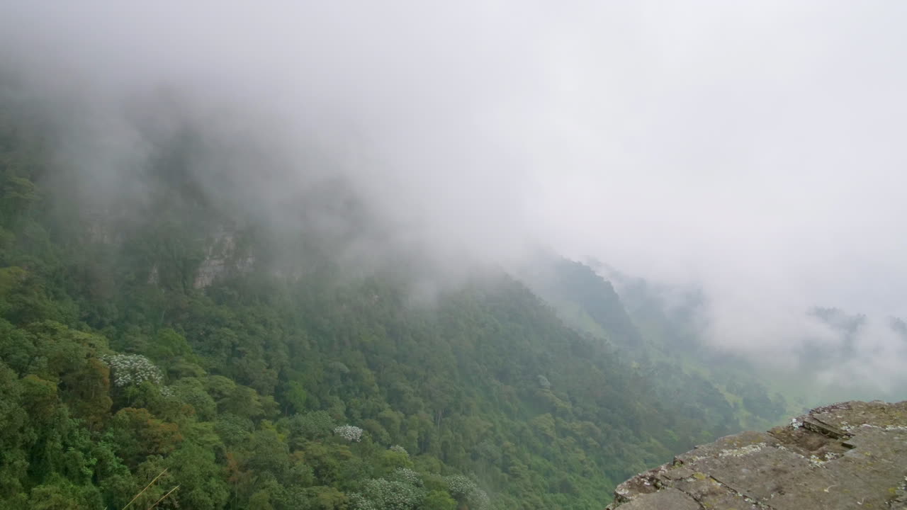 Timelapse clouds in rain forest mountain, Colombian fog forest, Clouds in the fog forest, natural park