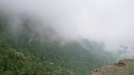Timelapse clouds in rain forest mountain, Colombian fog forest, Clouds in the fog forest, natural park