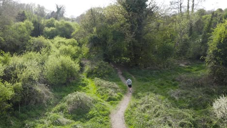 Vista-Aérea-De-Un-Joven-Atleta-Masculino-Trotando-En-El-Bosque