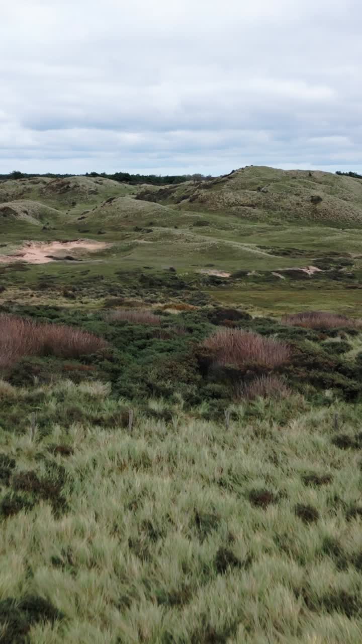 Paesaggio di dune verdi Egmond aan Zee al Mare del Nord