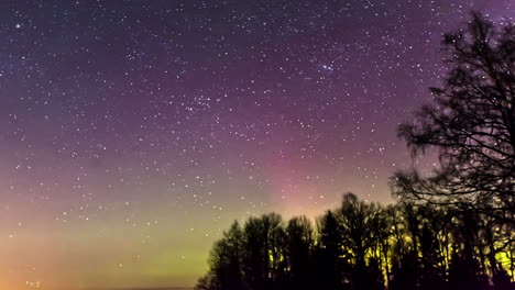 Green-Aurora-Borealis-And-Starry-Night-Sky-Over-Silhouetted-Trees