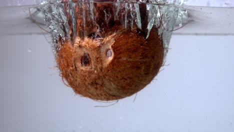coco cayendo en el agua sobre un fondo blanco