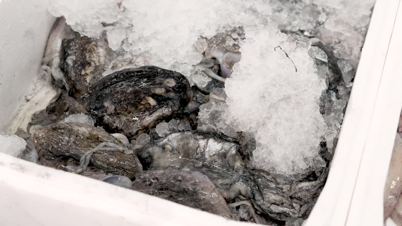 A vibrant display captures the essence of a lively coastal fish market, featuring freshly caught mollusks resting on a bed of ice. The atmosphere bursts with energy and ocean flavors