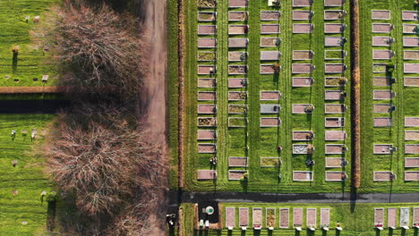 overhead drone shot of graveyard cemetery with tombstones in sweden, kvibergs kyrkogård or kviberg, gothenburg