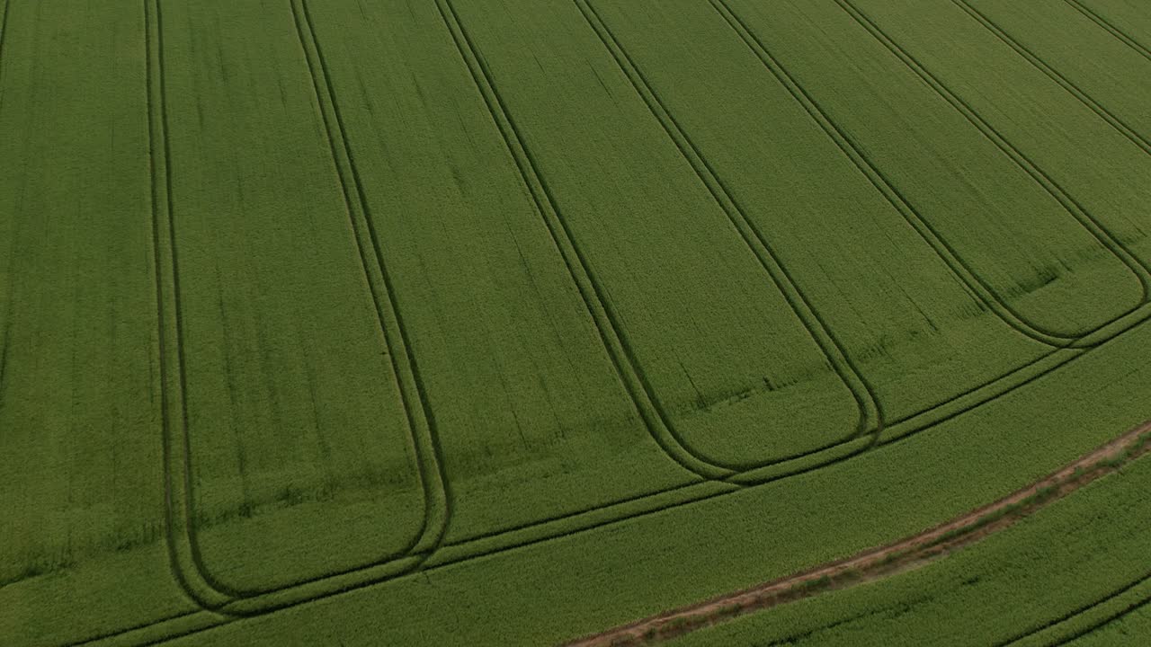 misterioso diseño de círculos de cultivos paranormales en el prado de grano en la granja, aérea