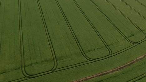 misterioso diseño de círculos de cultivos paranormales en el prado de grano en la granja, aérea