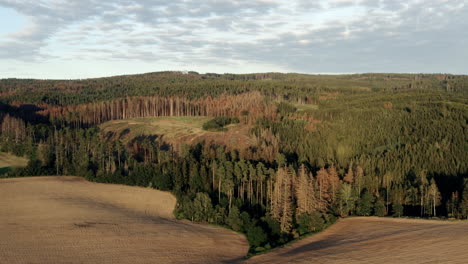 aerial shot of beautiful forest surrounding agricultural farm land in fall at sunset in czech republic