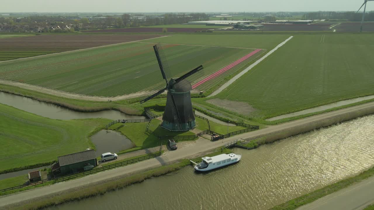Panoramica aerea di campi di tulipani, fiume che scorre e vecchi mulini a vento, Paesi Bassi.
