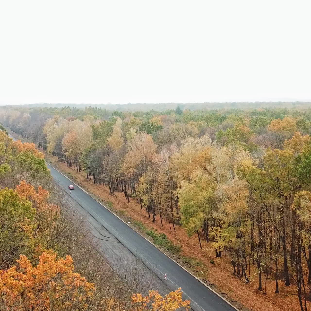 Sky view of autumn road among trees. Aerial view of autumn forest and highway with cars on one side of newly built road. Top view of car road in forest.