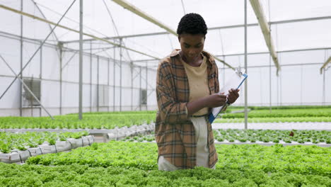 agricultor, vivero y mujer en el jardín