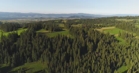 flying over the beautiful forest trees landscape panorama 16