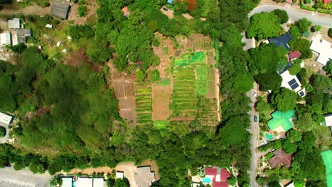 top down rising drone view of urban community farm, cloud shadow passes over