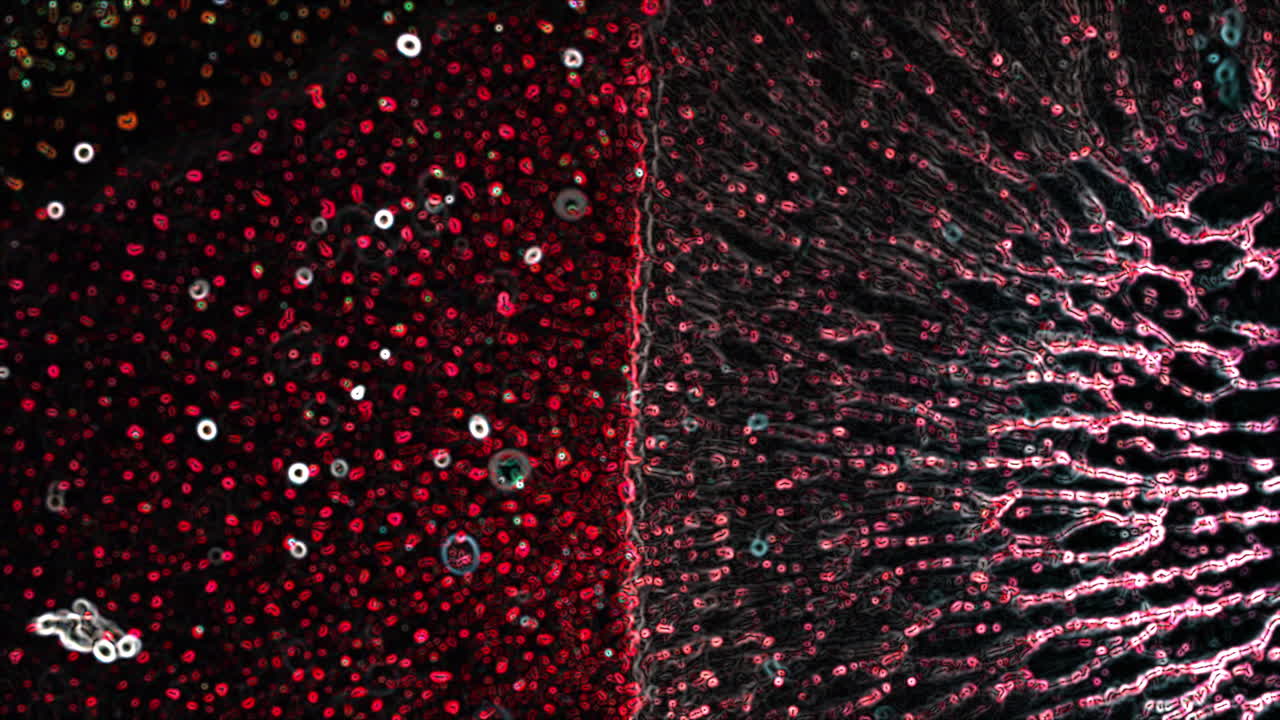 Macro view of substances mixing in vibrant, dynamic patterns