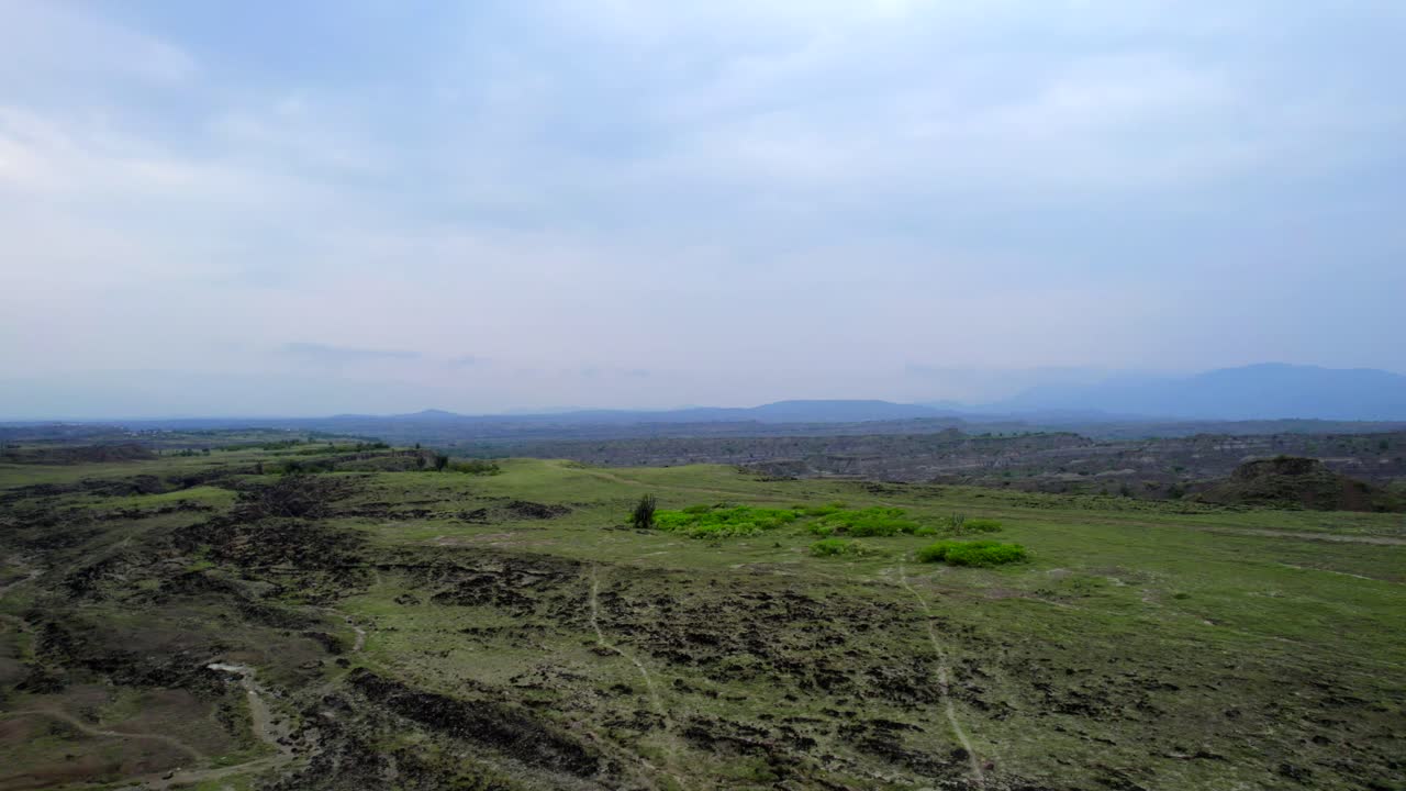 pintando salpicaduras de verde en medio de los tonos apagados de gris