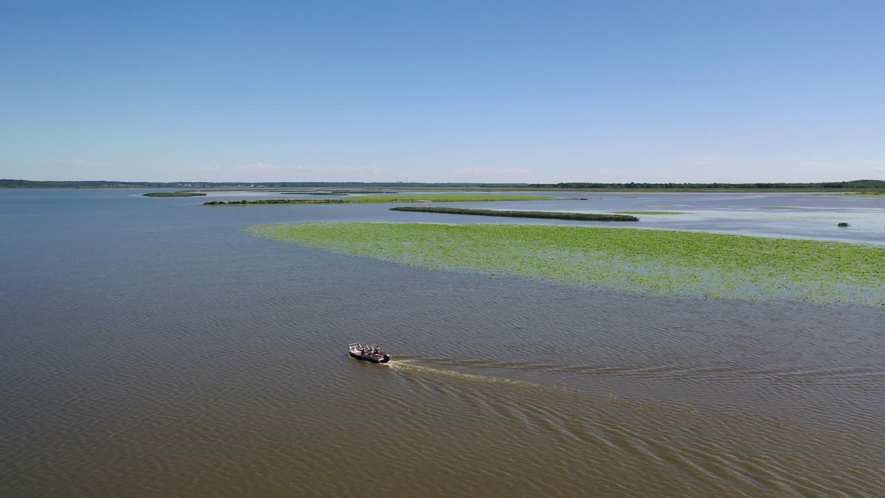 바다에서 혼자 배를 타고, 해안 갈대 배경, 공중 앞으로