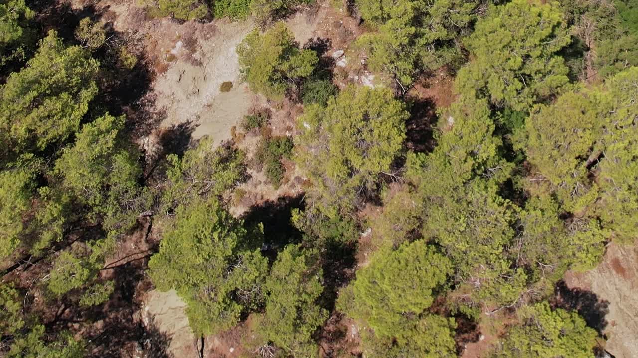 Esplorare dall'alto le foreste di Rodi, Grecia, durante il giorno