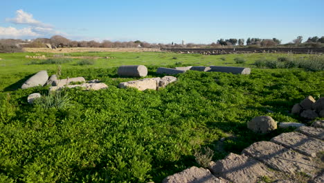 Green-grassy-area-scattered-with-ancient-stone-ruins,-including-columns-and-large-stone-blocks,-under-a-clear-sky-in-Pafos