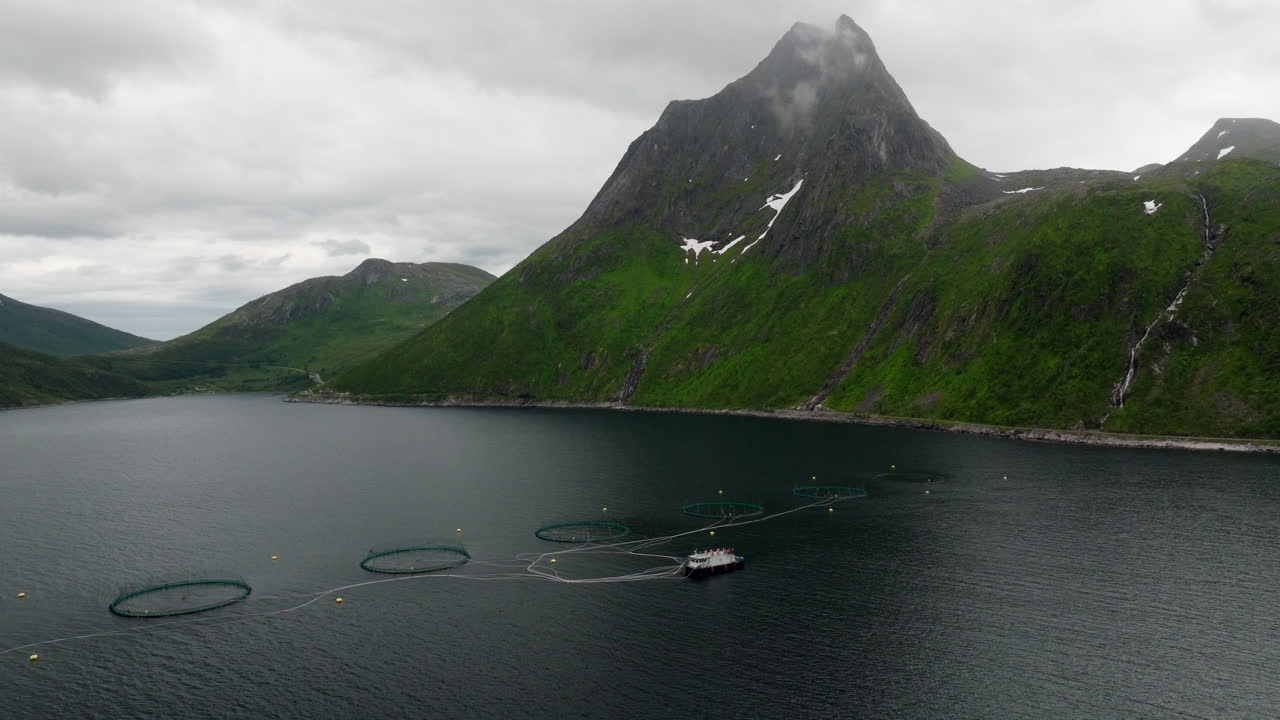 Mefjord salmon farm marine pens next to imposing mountains in fjord, aerial