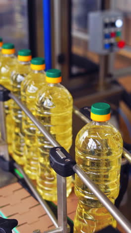 production and bottling of sunflower oil. automated factory for the production of sunflower oil. row of bottles full with refined oil moving on a conveyor. vertical video
