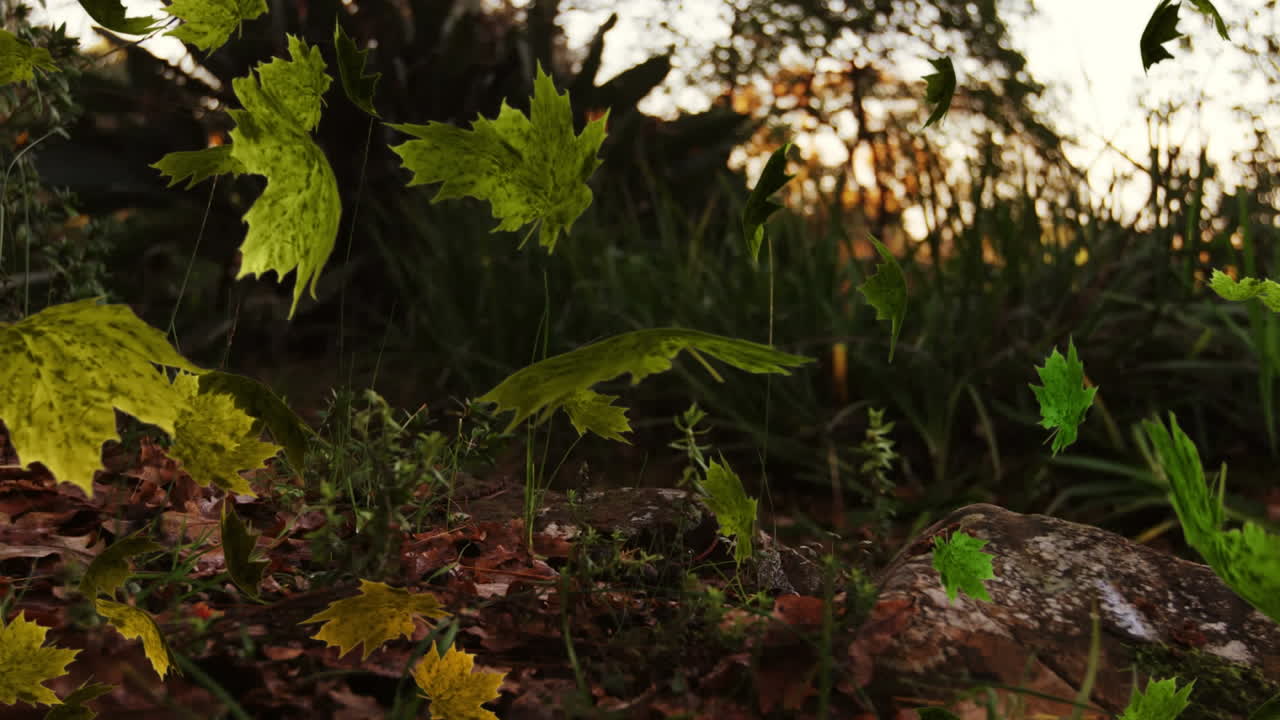 animación de varias hojas que caen sobre el bosque verde