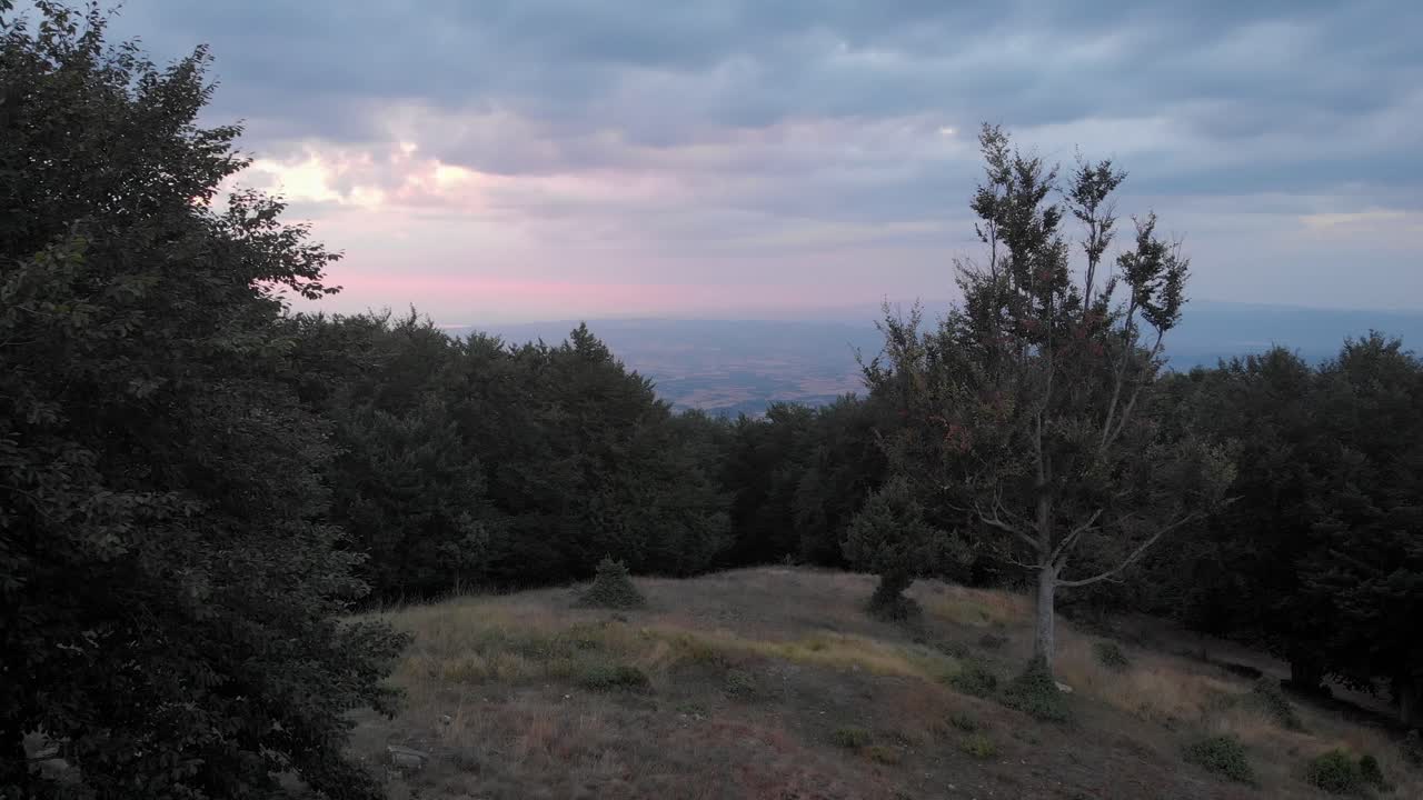 video de un avión no tripulado pasando por un denso bosque en un hermoso atardecer nublado de verano
