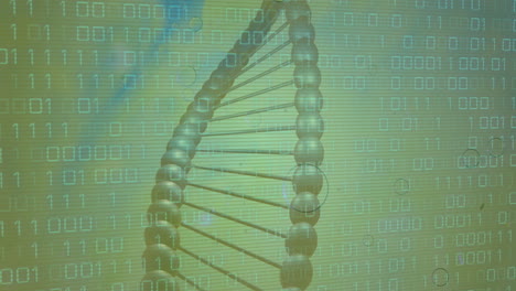 animation of data processing over dna strand on green background