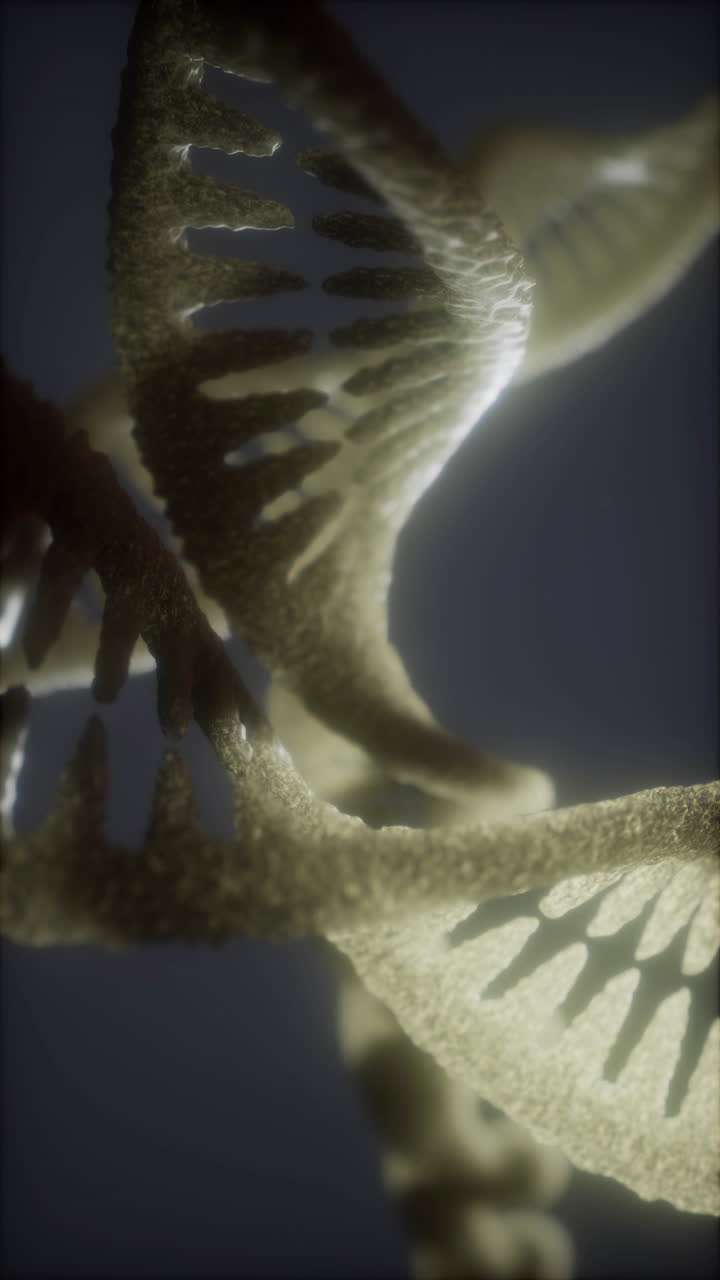 Close-up of a DNA molecule
