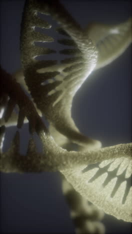 close-up of a dna molecule